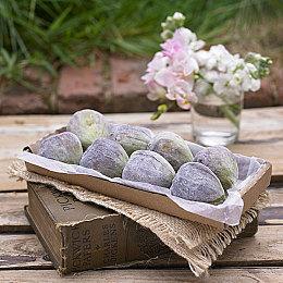 地下城冒险游戏《魔卡地下城》发售日公开